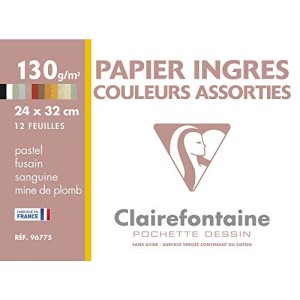 Carta da disegno Cotone Ingres 24x32 12V Assortito 130g Clairefontaine