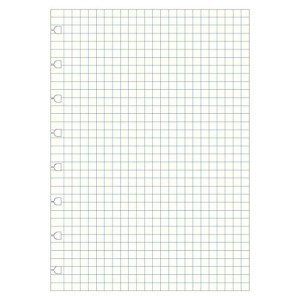 Ricambio Filofax Notebook A5 Quadretti 5mm 60fg Colori Pastello Ass.ti