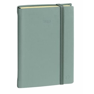 Agenda Quo Vadis Daily 21 Prestige Grigio con Elastico 13x21