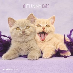 Calendario 2024 Funny Cats Alpha Editions