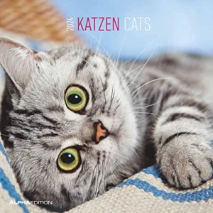 Calendario 2024 Katzen Cats Alpha Editions