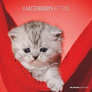 Calendario 2024 Kittens Alpha Editions