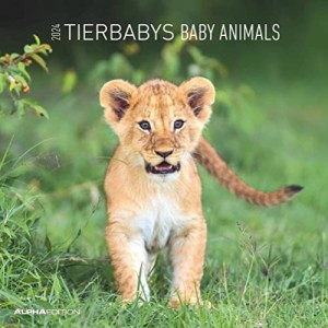 Calendario 2024 Tierbabys Baby Animals Alpha Editions