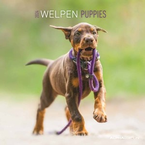 Calendario 2024 Welpen Puppies Alpha Editions