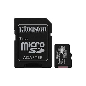 Memory Card Micro Sd con adattatore 256 Gb Kingston Classe 10